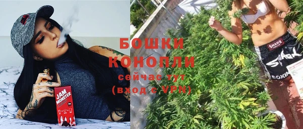 прущая мука Няндома