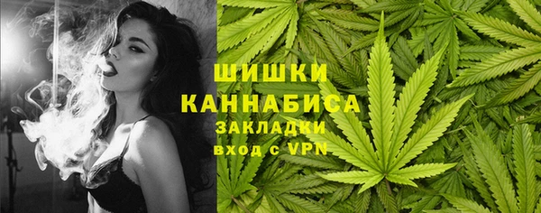 прущая мука Няндома