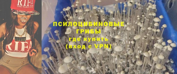 мдпв Нязепетровск