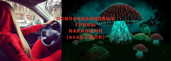 мдпв Нязепетровск