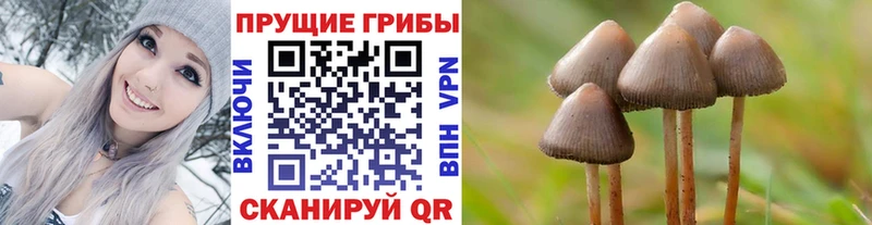 Псилоцибиновые грибы прущие грибы Купить где Тбилисская